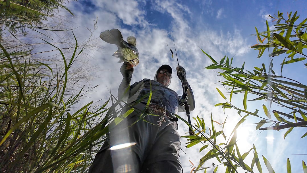 In this edition of The Starting Spot Daily Bass Fishing Headlines, USA Bass Team Bring Home Pan-Am Gold, Bass Pro Shops Donate 40,000 Rods to Kids, and Using Accurate Data to Understand Bass Behavior.