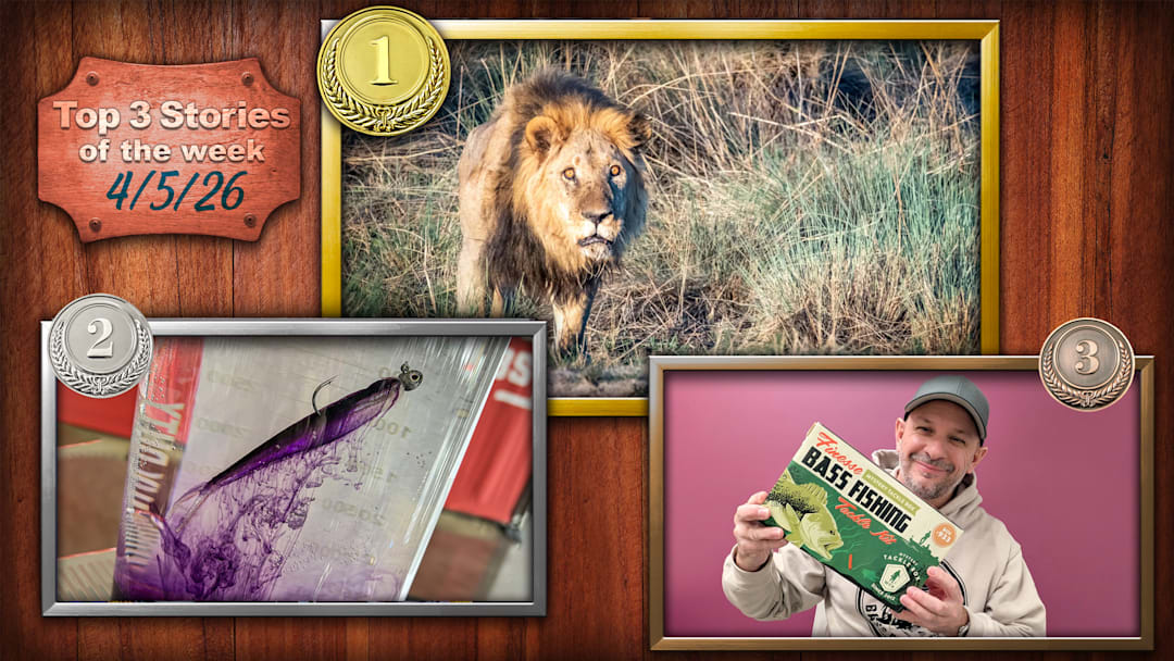 A Fly Fishing Trip to Africa Took an Unexpected Turn on Safari; REVEALED: Berkley Lab Series Baits Unveiled After Bassmaster Classic Leak; The Finesse Fishing Kit Built for Today’s Pressured Bass