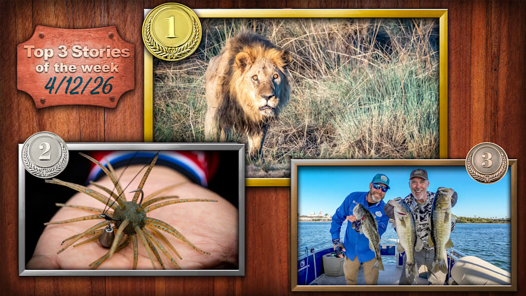 A Fly Fishing Trip to Africa Took an Unexpected Turn on Safari; The Strange Spiny Lure Taking Over Bass Fishing in 2026; I Didn’t Expect the Best Bass Fishing of My Trip to Happen at Disney World