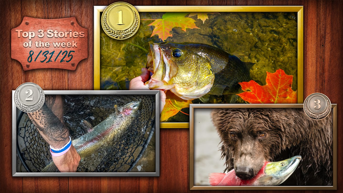 Top 3 Fishing Stories of the Week: Fall Bass Tips, Brown Bears and Big ‘Bows, and a Day at the Lodge