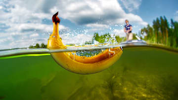 Why are bananas considered bad luck on a boat? Lets consider the history and try to decide whether this tradition has any place in modern fishing.