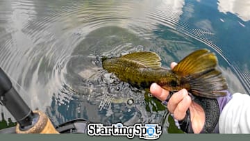 Today on The Starting Spot: Greatest Moment in Bassmaster History, Trim is Nation Champ, and Fall Bass Finesse