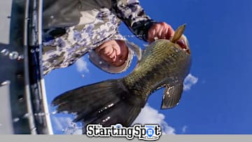 Today on The Starting Spot: Meet the 10 New Bassmaster Elites, MLF’s 2026 FFS Rules, and Very late Fall Bass