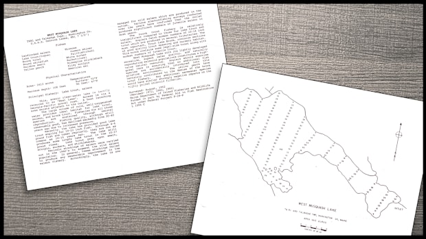 1952 to 1995 survey data from the MDIFW website