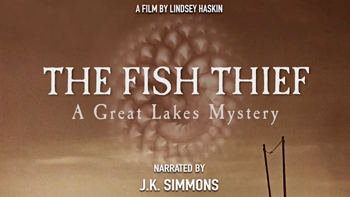 What caused the great lakes fishery to collapse? What caused the great lakes fishery to collapse?