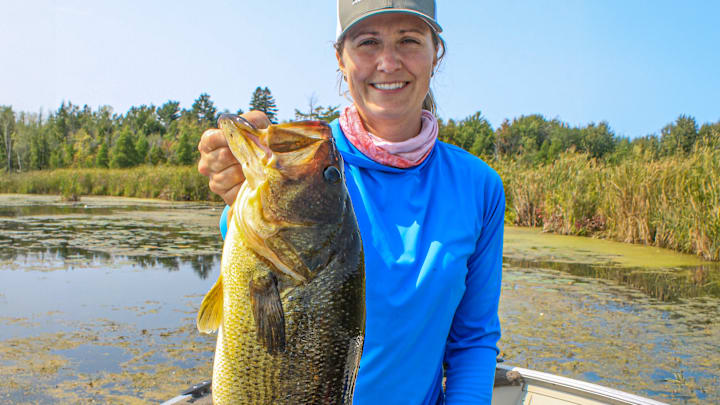 How to Catch Largemouth Bass in Floating Cattail Bogs