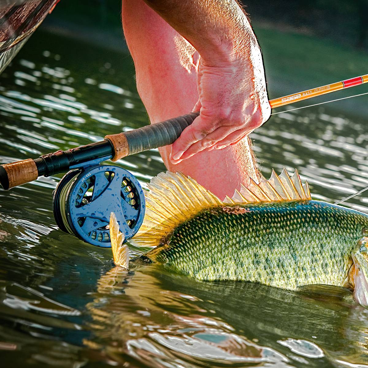 closeout inshore fishing rods and reels G-Loomis GCX Spinning Rod Master the shallows with Black Fins Carbon Elite Split Grip Inshore Rods Walmart Penn Passion Saltwater Spinning
