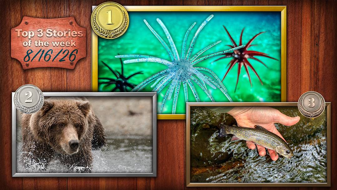 Inside Bass Fishing's Wild Urchin Bait Craze; What It Was Like to Be Charged by an Alaskan Brown Bear—and What I Learned; Fly Fishing for Brook Trout on the Appalachian Trail Inside Bass Fishing's Wild Urchin Bait Craze; What It Was Like to Be Charged by an Alaskan Brown Bear—and What I Learned; Fly Fishing for Brook Trout on the Appalachian Trail