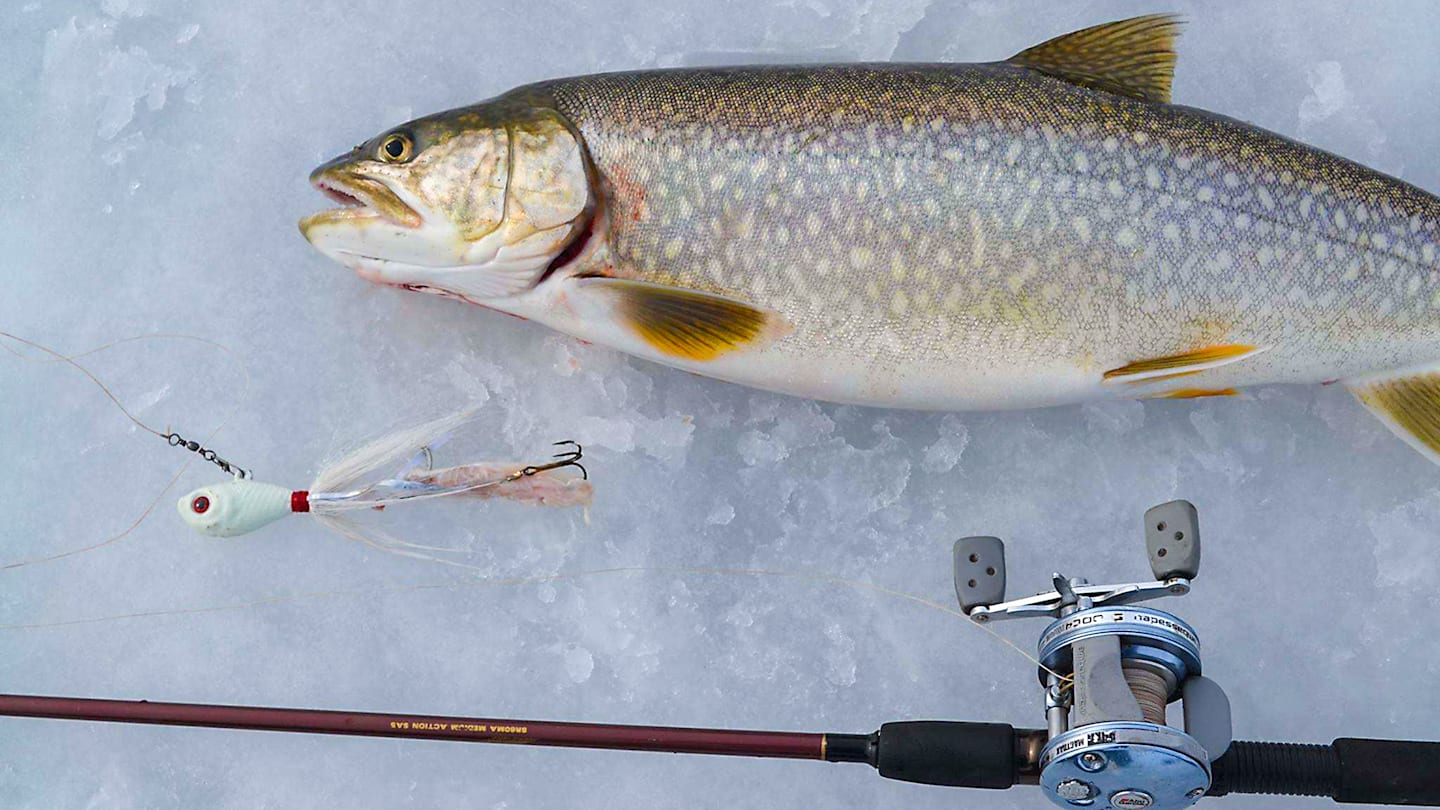 ice fishing bait