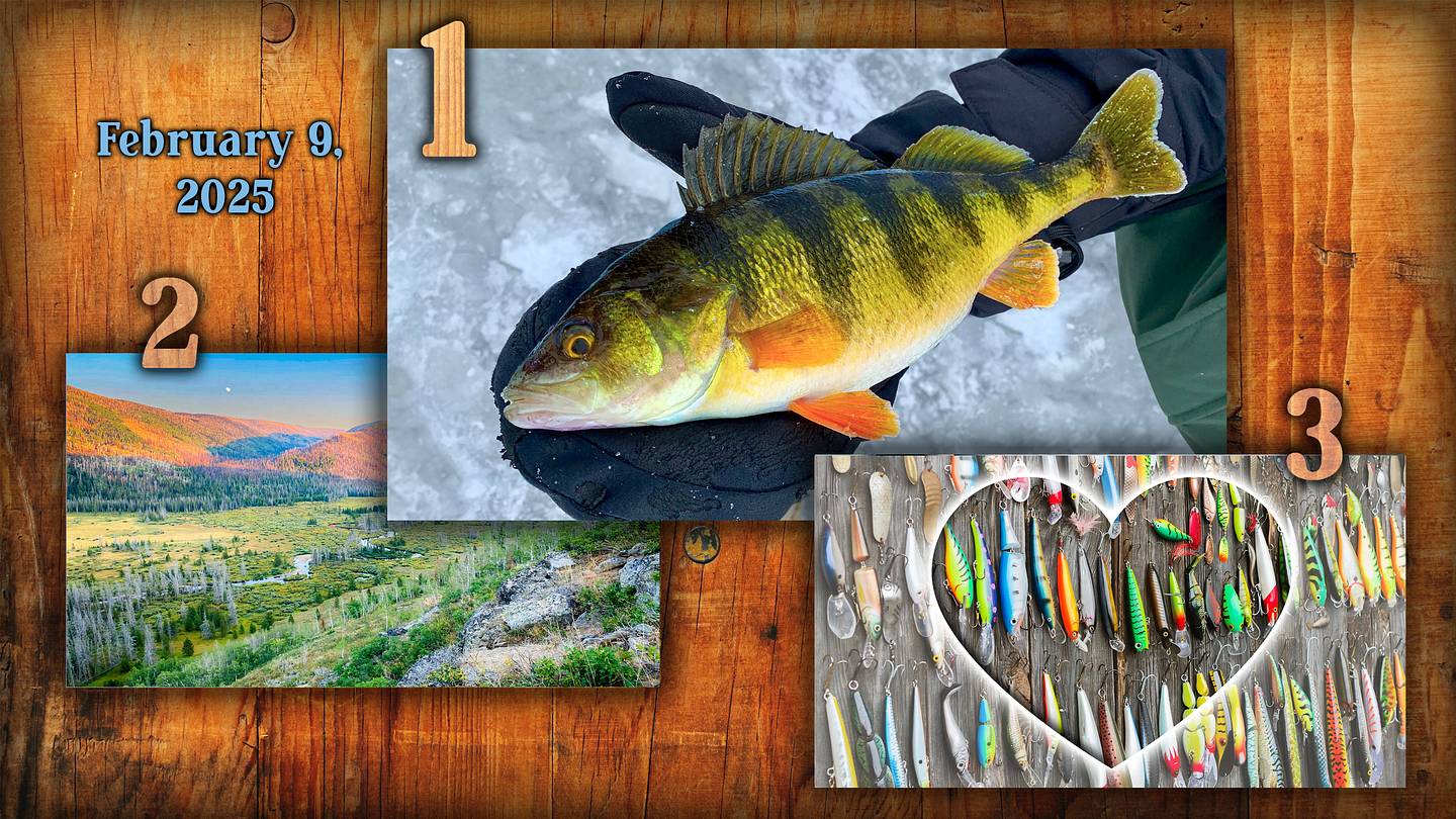 Top 3 Biggest Fishing Stories of the Week: Fishing on SI: Sports ...