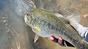 Mike Iaconelli’s Persistent Injury Benches Him for Tenkiller, Good News from the Bass Hall of Fame, and More Good News from Major League Fishing.