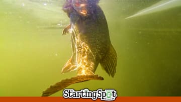 Today on The Starting Spot: Online Tournament for High School Anglers, 4 Fall Bass Tips, and a Reel Designed for the Cold