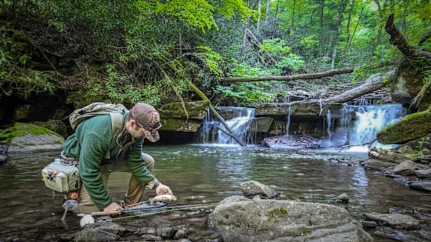 A fly angler followed the wisdom of his mentor and learned a lesson on how to catch wild brook trout. 