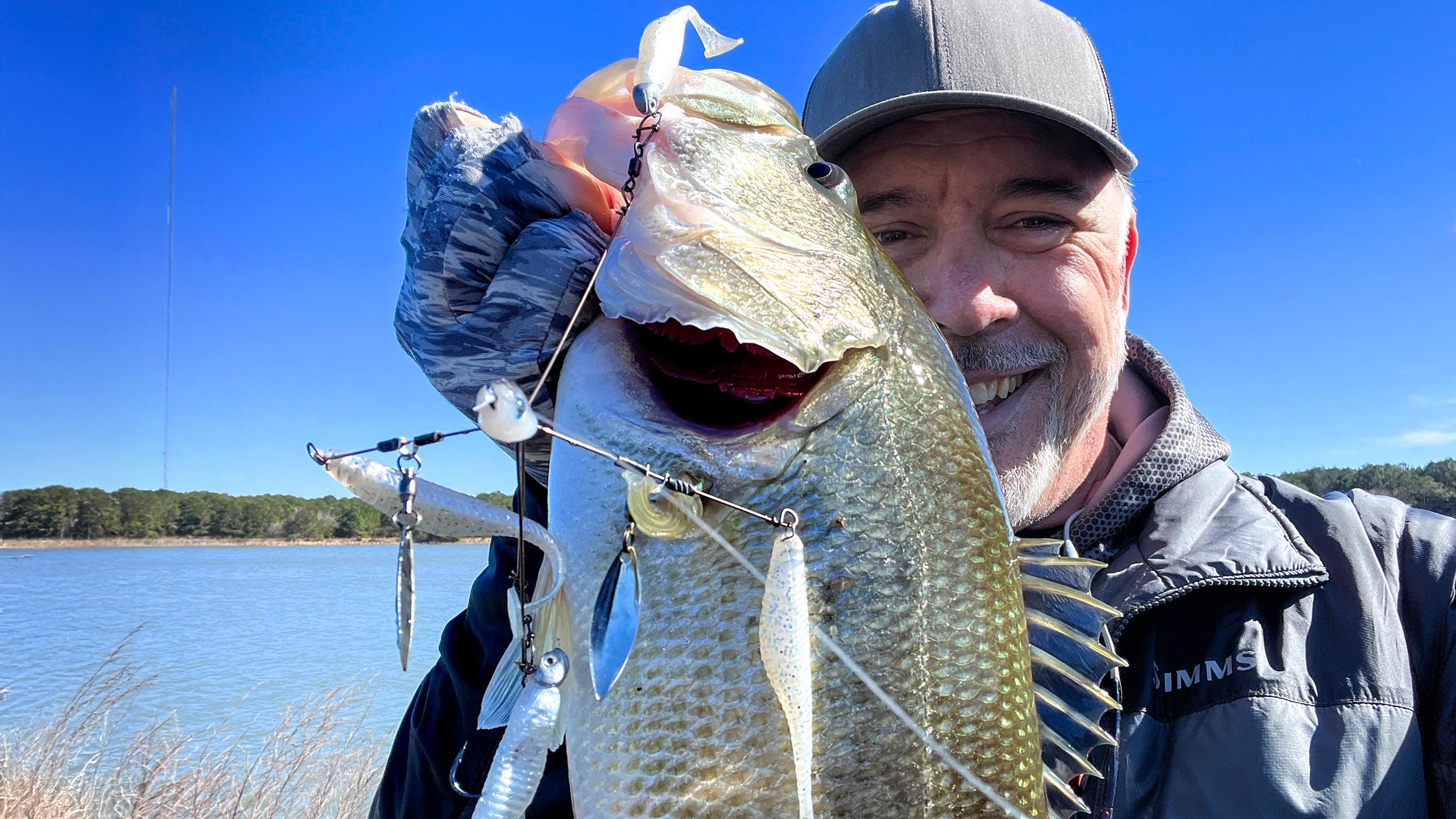 This Banned Tournament Lure Can Catch You a Lot of Bass This Winter and  Other Top Stories