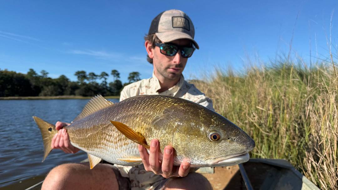Redfish on the fly. Redfish on the fly.