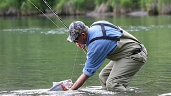 Landing a beautiful Alaskan rainbow trout. 