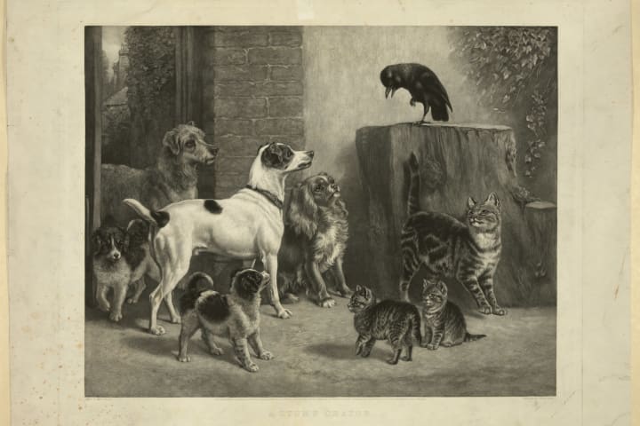 a blackbird "speaks" from atop a stump while dogs and cats listen