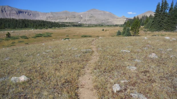 Looking off in the distance to see mountains and trees along a small path through an open area on the Uintah Highline Trail.