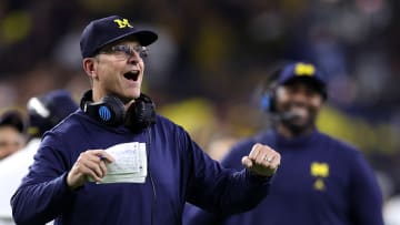 Jim Harbaugh, Michigan Wolverines