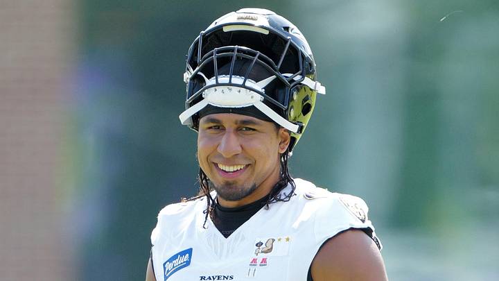 Baltimore Ravens linebacker Tavius Robinson