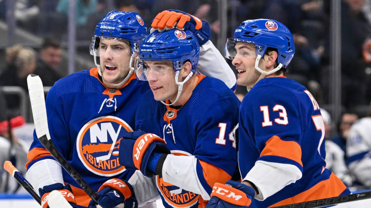 Feb 8, 2024; Elmont, New York, USA; New York Islanders defenseman Ryan Pulock (6) and New York