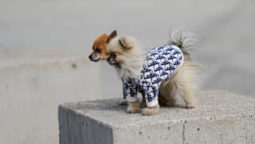 Street Style - Paris Fashion Week Womenswear Fall/Winter 2021/2022