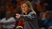 Wisconsin has hired former Missouri head coach Robin Pingeton to lead the program.