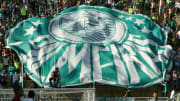 Endrick currently plies his trade for Palmeiras