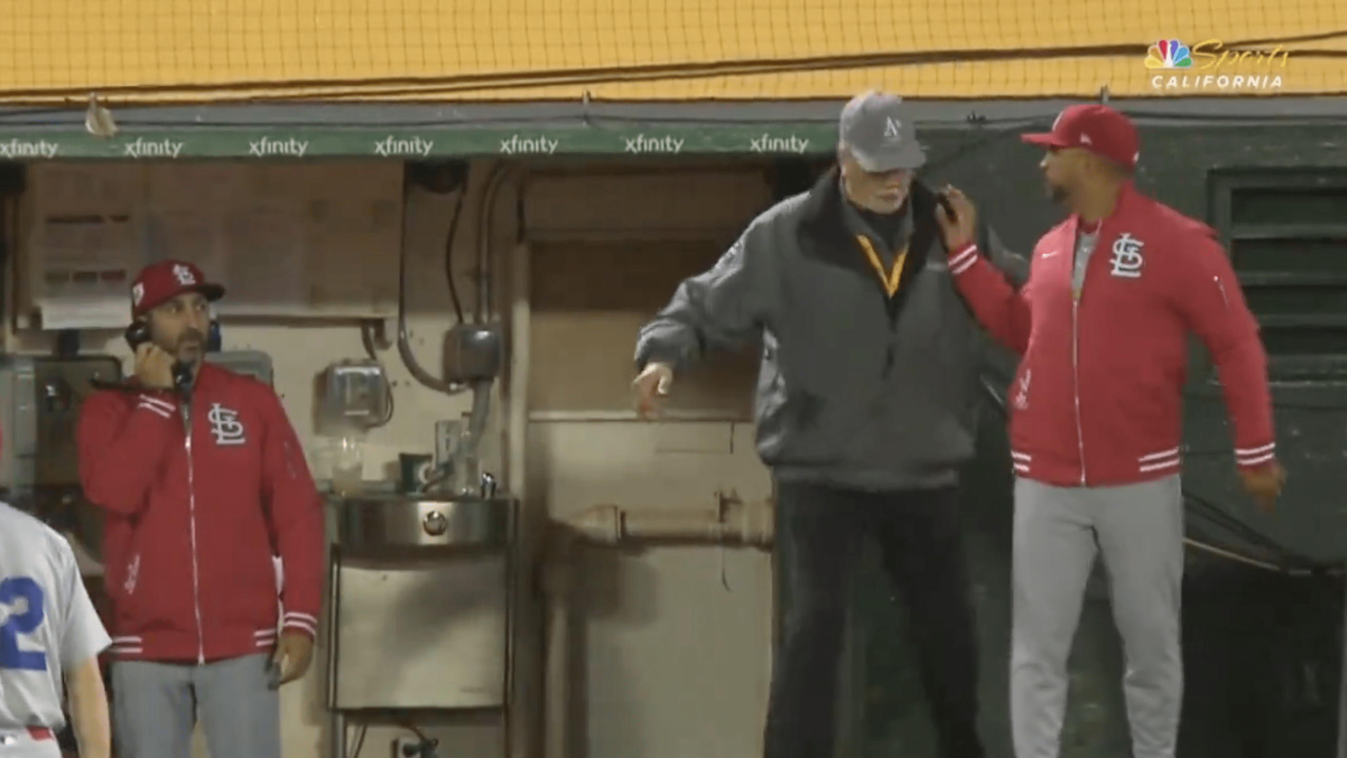 Cardinals Manager Couldn’t Challenge Call by Umps Thanks to a Security Guard, and MLB Fans Had Jokes