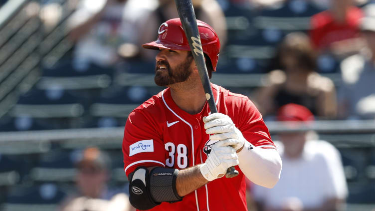 Cincinnati Reds designated hitter Mike Ford