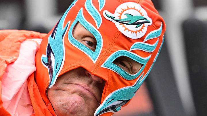 A Miami Dolphins fan