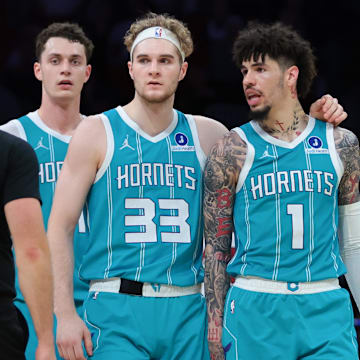 Oct 28, 2025; Miami, Florida, USA; Charlotte Hornets guard LaMelo Ball (1) walks with forward Liam McNeeley (33) after receiving a technical foul for an obscene gesture during the fourth quarter against the Miami Heat at Kaseya Center. Mandatory Credit: Sam Navarro-Imagn Images