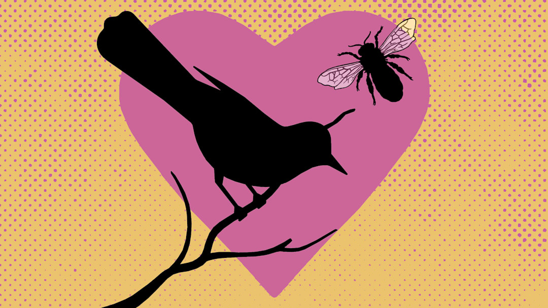 The phrase can be traced back to a Romantic poet. The phrase can be traced back to a Romantic poet.