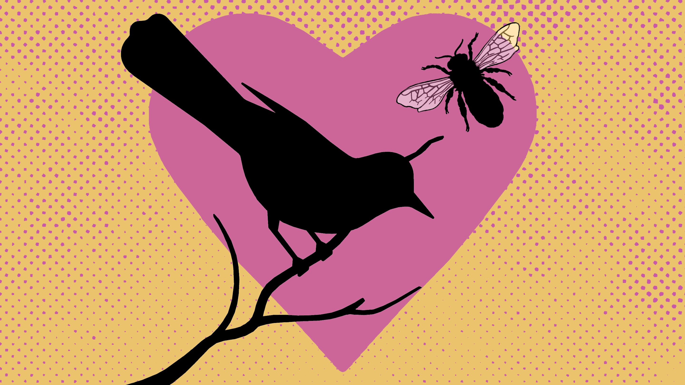 What Is This ‘Bird Theory’ Trend Going Viral on TikTok?