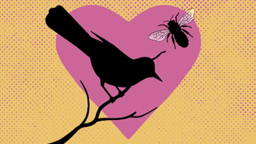 The phrase can be traced back to a Romantic poet.