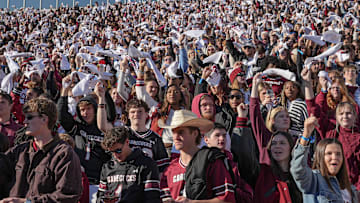 South Carolina fans waves white towels during the third quarter at Williams-Brice Stadium in Columbia, S.C. Saturday, November 29, 2025.
