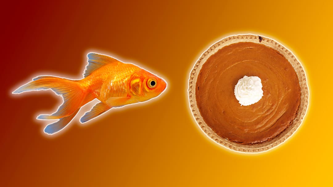 You can pack all sorts of surprising things. You can pack all sorts of surprising things.