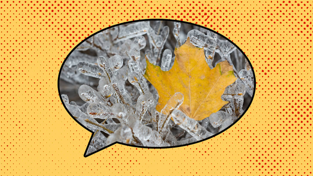 That's some impressive glaze ice.