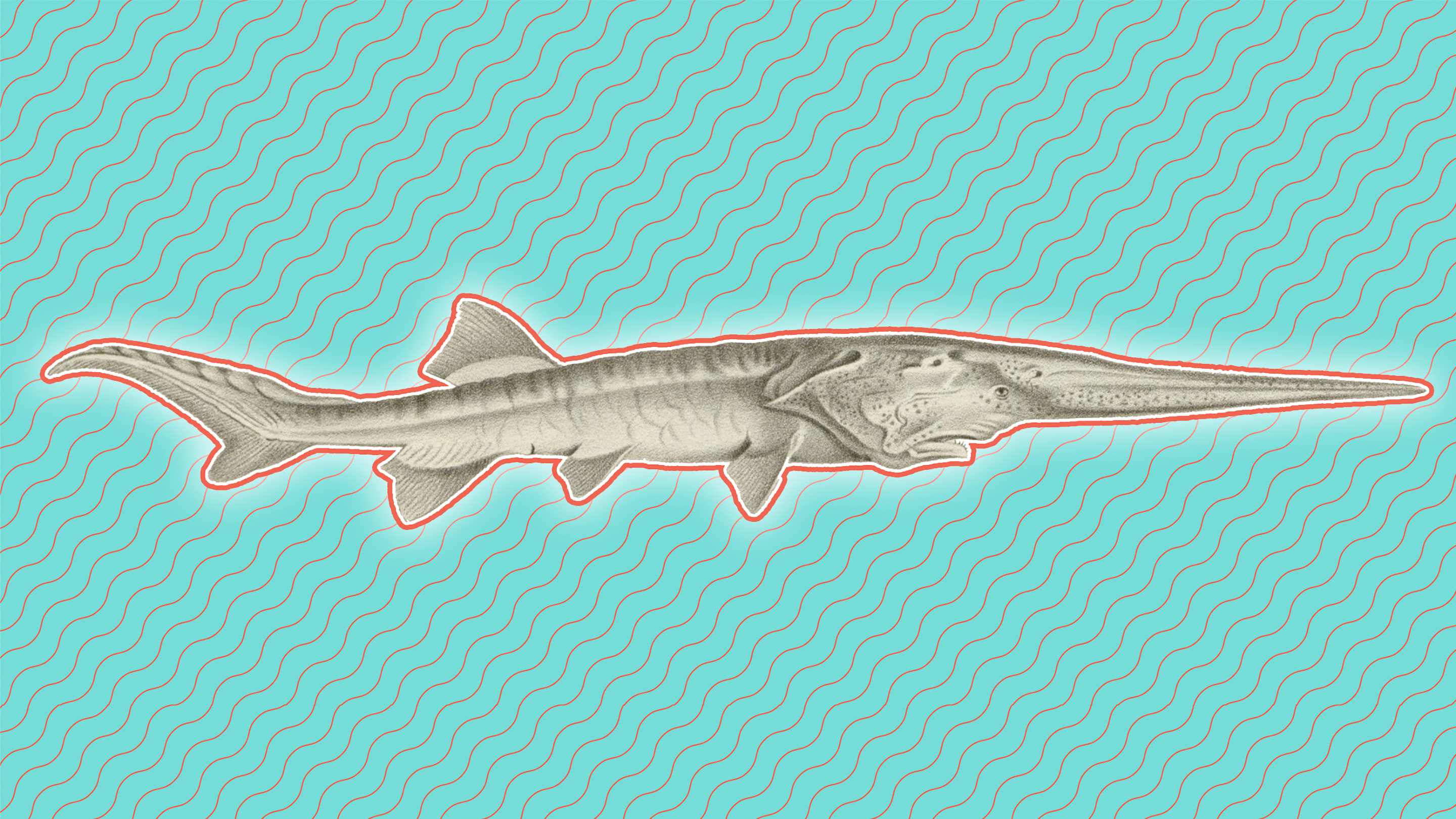 8 Animals That Recently Went Extinct