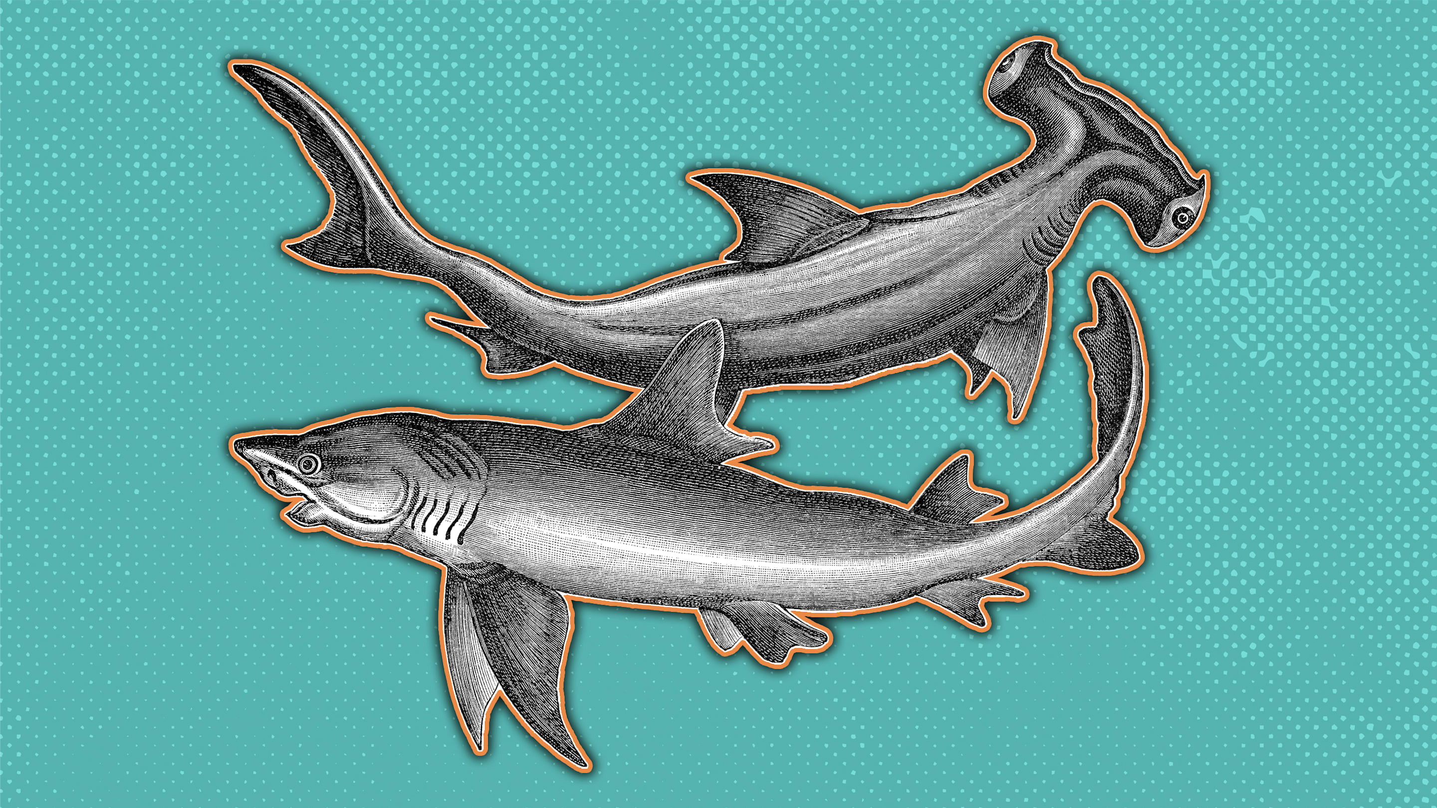 16 Definitely True Facts That Seem More Like Lies