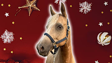 Love horses? Mark your calendar for December 13.