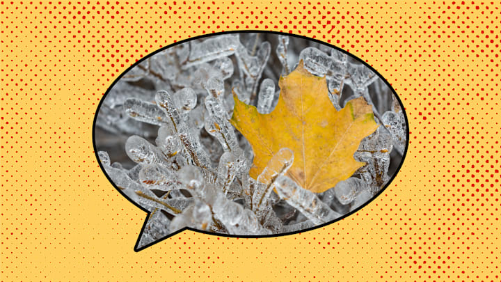 That's some impressive glaze ice.