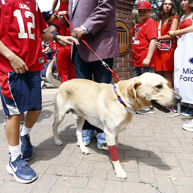 Juice Kiffin makes his way down the Walk of Champions prior to the game between Ole Miss and the Middle Tennessee.