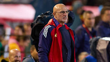 Luis de la Fuente