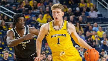 Boston Celtics, Danny Wolf, 2025 NBA Draft, Michigan