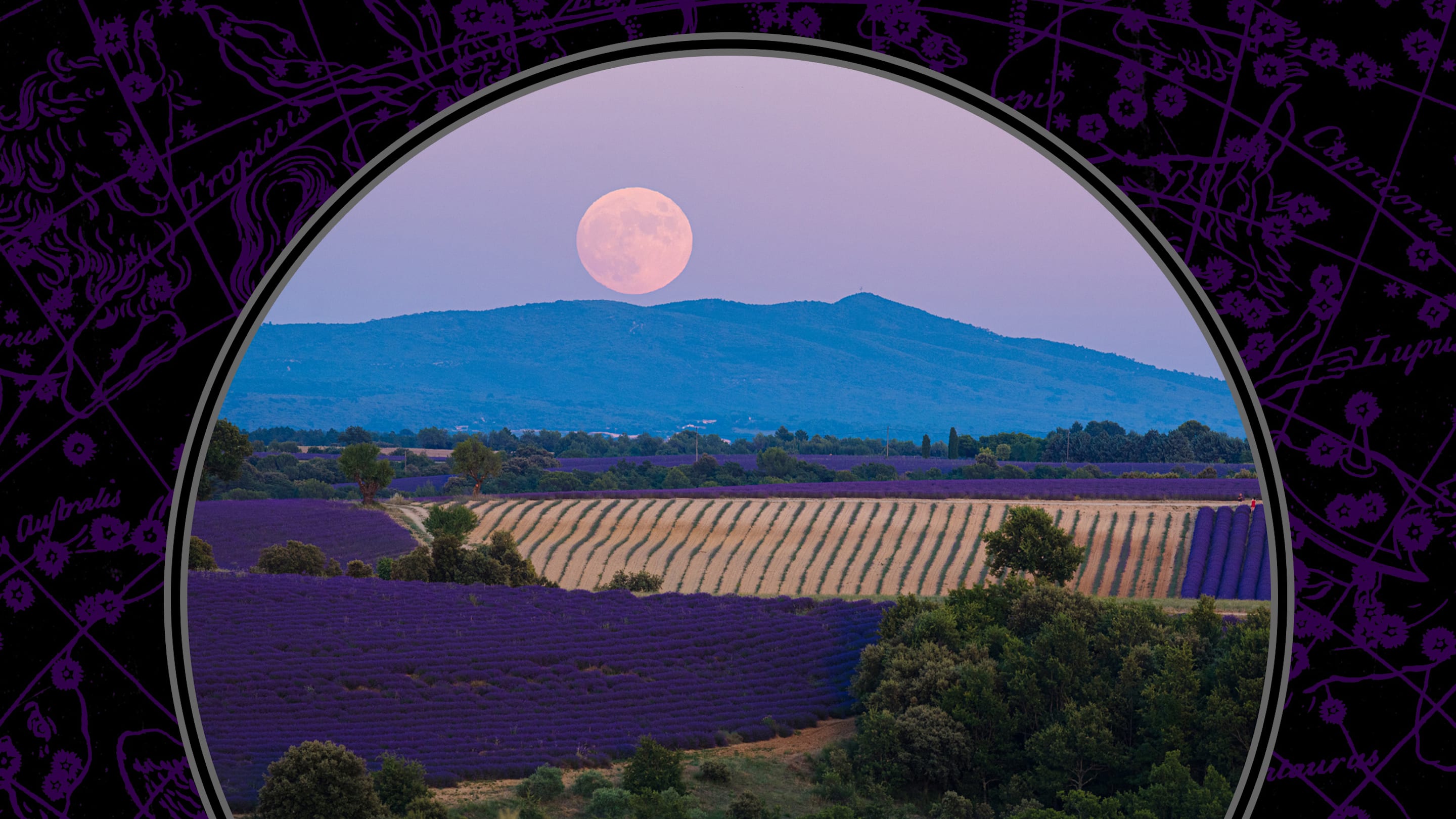 The Full Flower Moon Will Dazzle Skies This Month