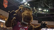 March 5, 2016; Las Vegas, NV, USA; Santa Clara Broncos mascot performs against the Brigham Young Cougars during the first half of the West Coast Conference tournament at Orleans Arena. Mandatory Credit: Kyle Terada-Imagn Images
