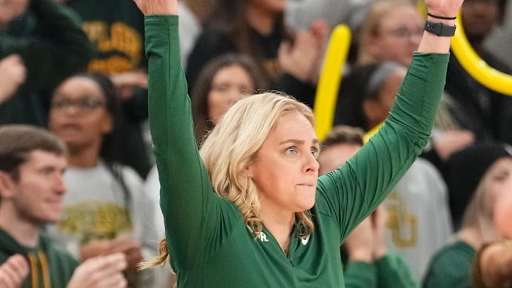 Jan 3, 2024; Waco, Texas, USA;  Baylor Lady Bears head coach Nicki Collen reacts after a play against the TCU Horned Frogs during the second half at Paul and Alejandra Foster Pavilion. Mandatory Credit: Chris Jones-Imagn Images