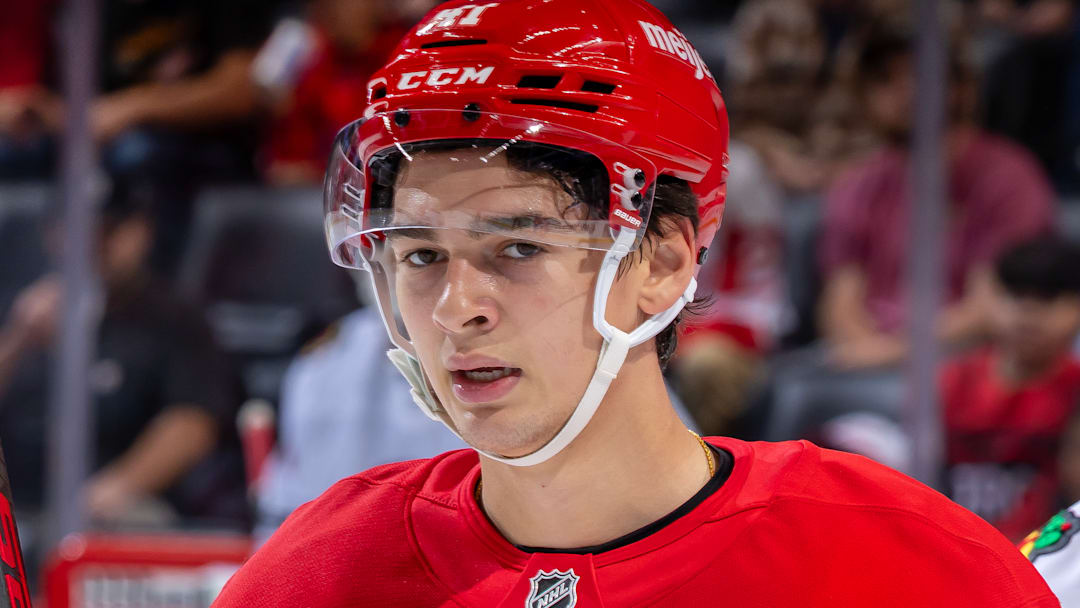 Chicago Blackhawks v Detroit Red Wings