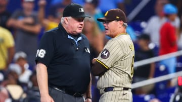 San Diego Padres manager Mike Shildt